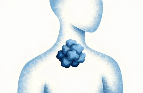 Translucent silhouette of a torso with a small cluster of blue cells inside the chest.